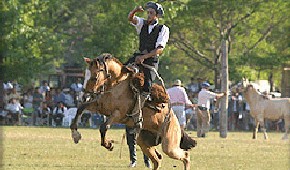 Da de la Tradicin - San Antonio de Areco